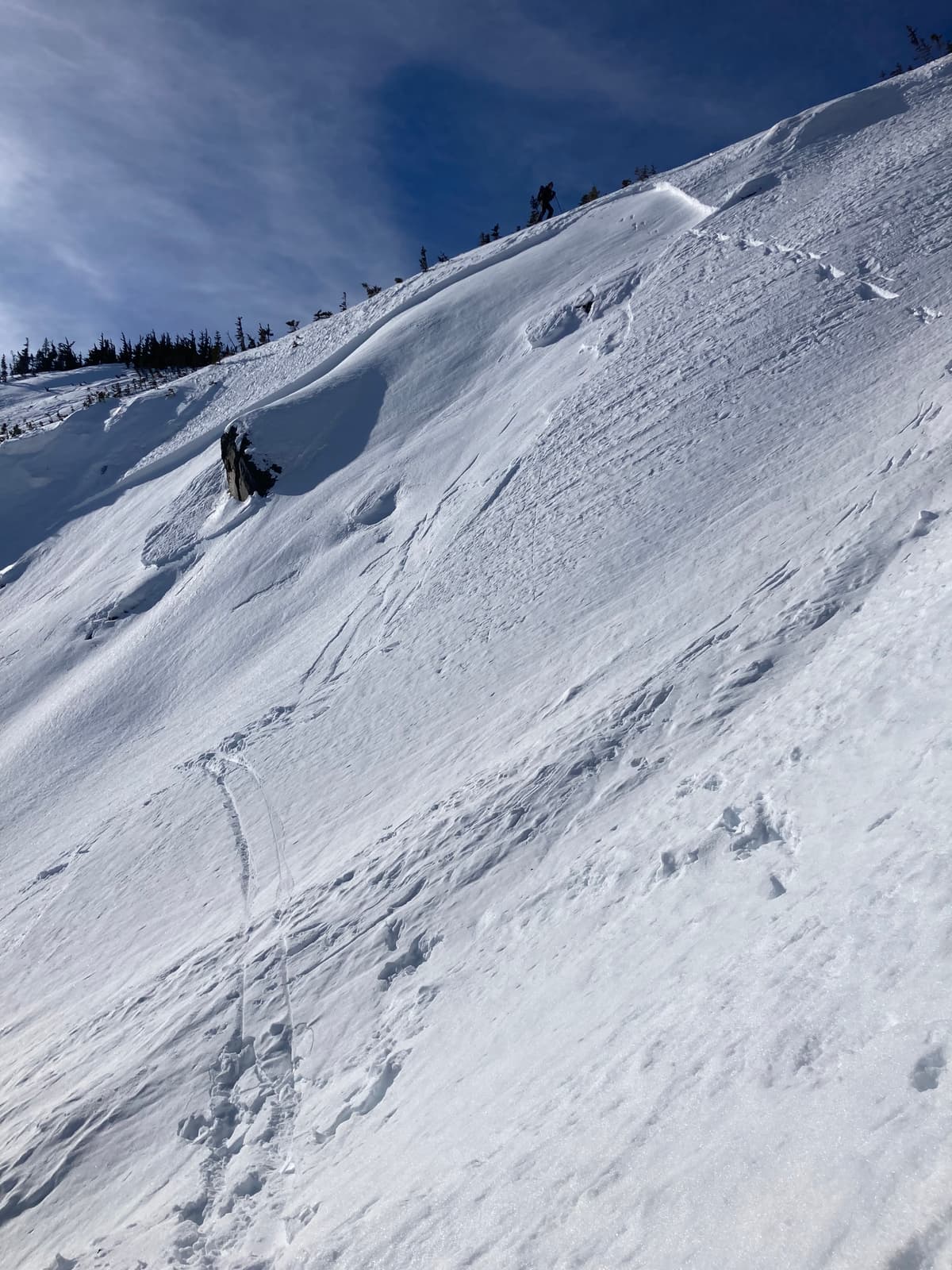 Upper right see the dog’s tracks leaving the slide area, lower left see my tracks leaving the slide area from where I came to a stop