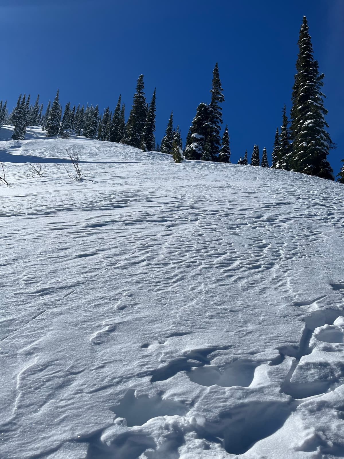 Patches of wind affected snow, more severe above 1800m