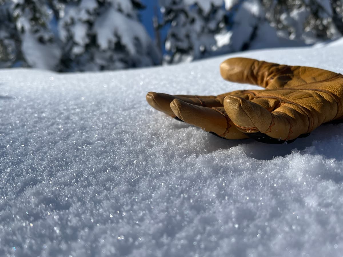 Small surface hoar at tree line