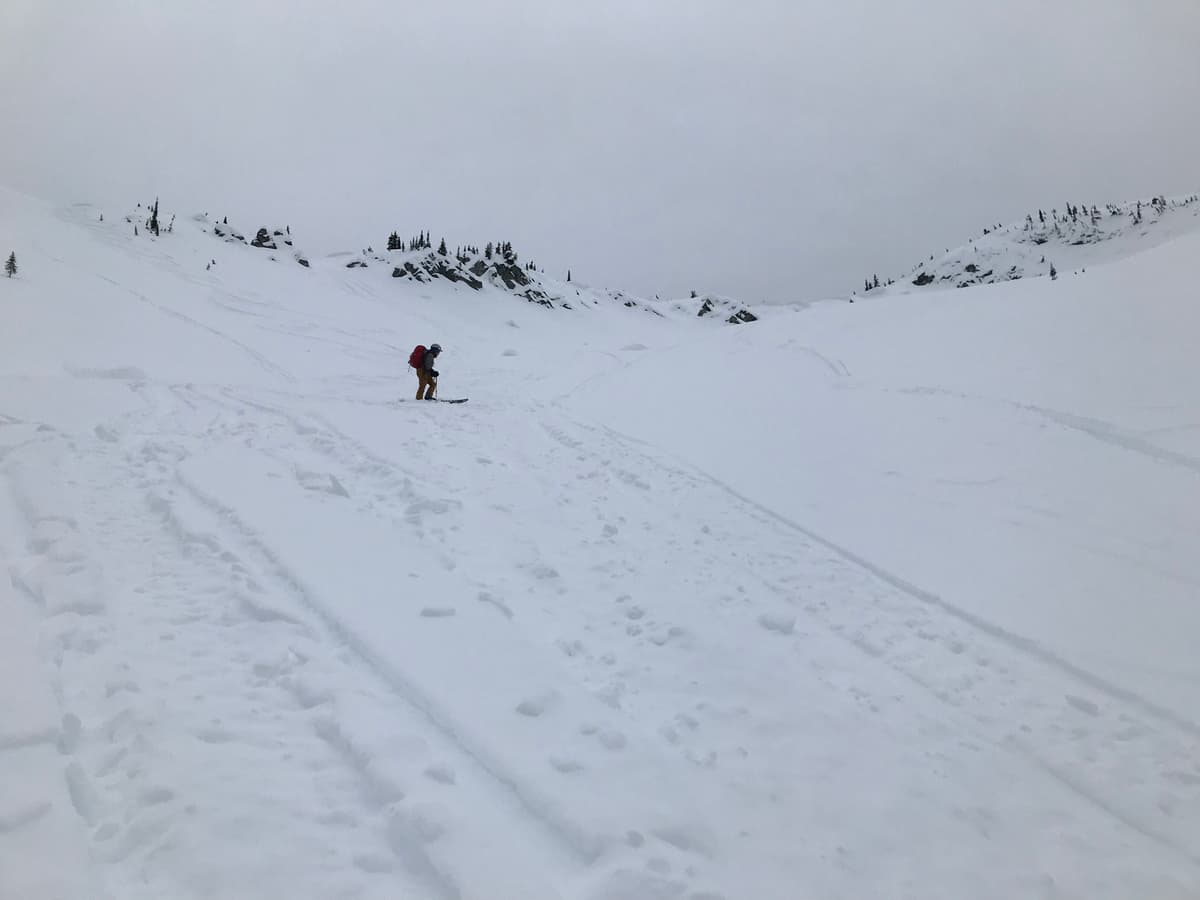 Tons of sled tracks everywhere, no recent slide activity seen. 