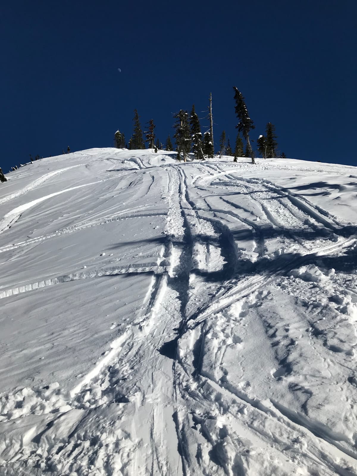 Hot sun on Saturday, south facing slopes were heavily crusted.
