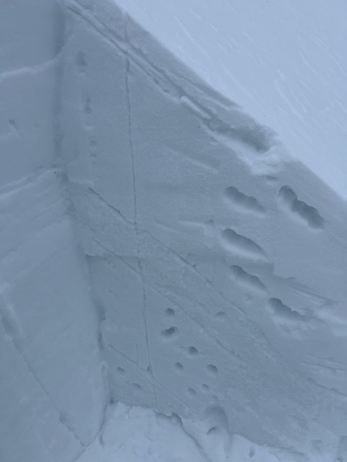 pit on NW aspect 2000m