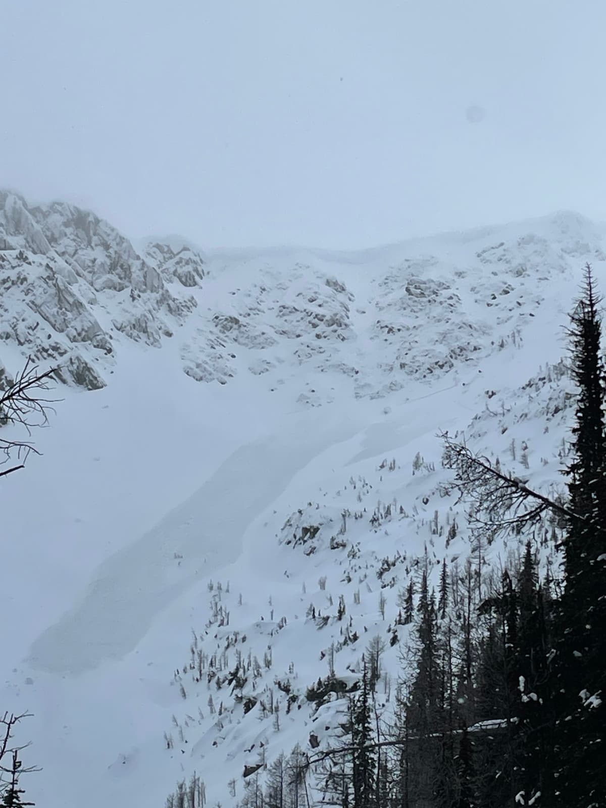 Fresh avalanche north bowl of Grassy Mountain