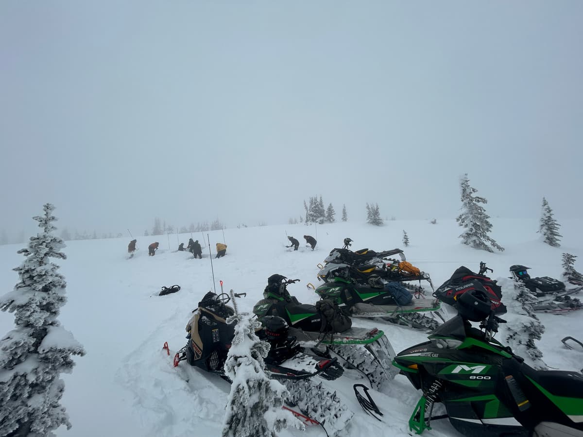 snow profile site