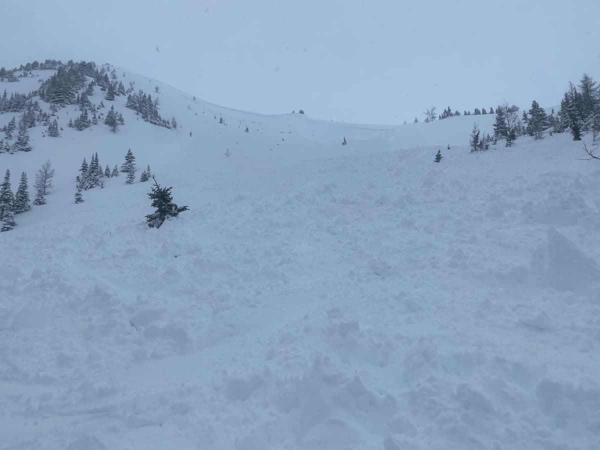Ski cut into Corral 3 from treed/terraced ridge in lookers left of photo. 