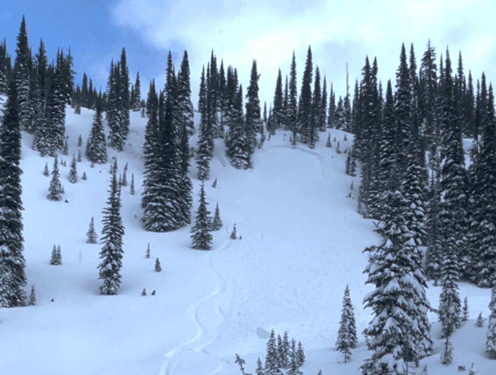 Size 1.5 avalanche, remote triggered from halfway down the slope.