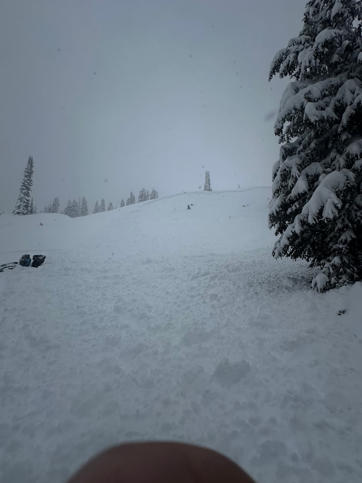 

"One person in a party of four remotely triggered an avalanche on a north-facing slope. At 1700 meters.
The slab failed on the faceted interface, overlying the early February rain crust 70 cm down. It propagated 50 meters wide and ran for 100 meters, resulting in a partial burial with one person and a buried snowmobile involved. Fortunately, the other crew members rescued that person, who was found to be uninjured."
