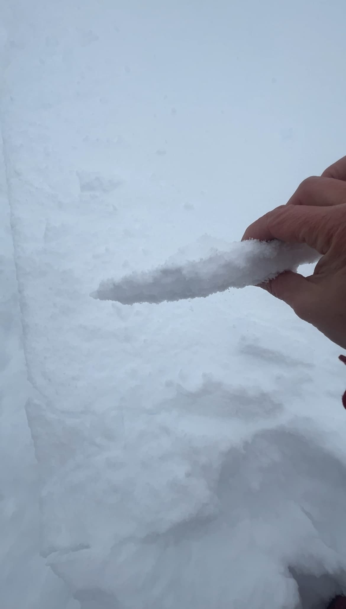 About 1cm freezing rain crust with sticky snow on both sides