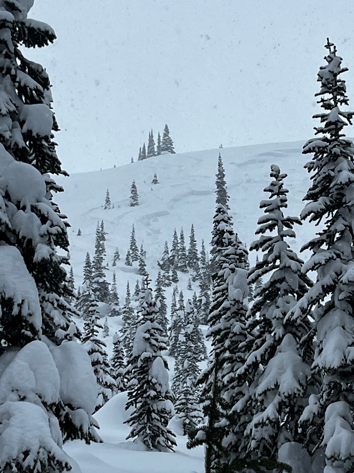 Triggered by third skier on slope. Triggered from lower third of slope and propagated back to the ridgeline.