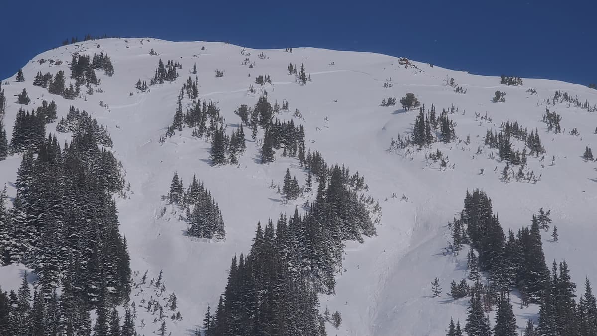 South aspect