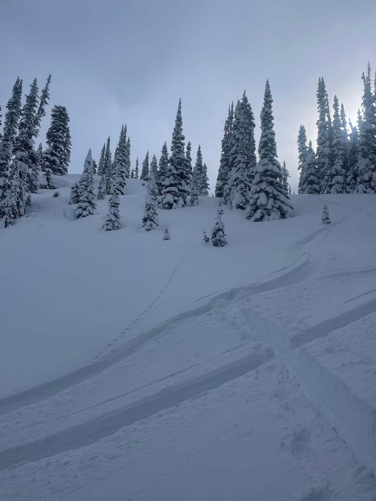 Remote trigger 50M from ski tracks 