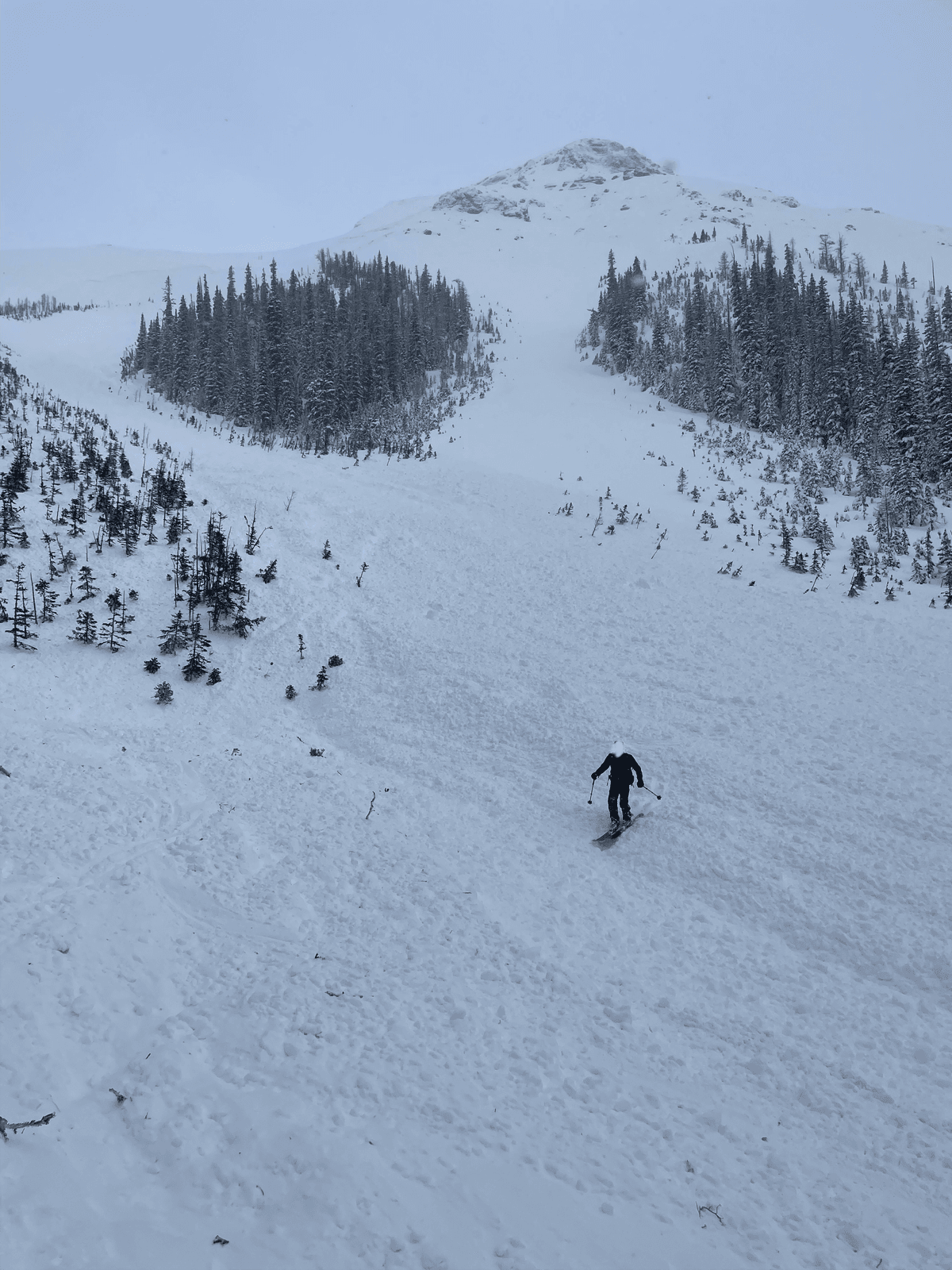 Looking up avalanche track