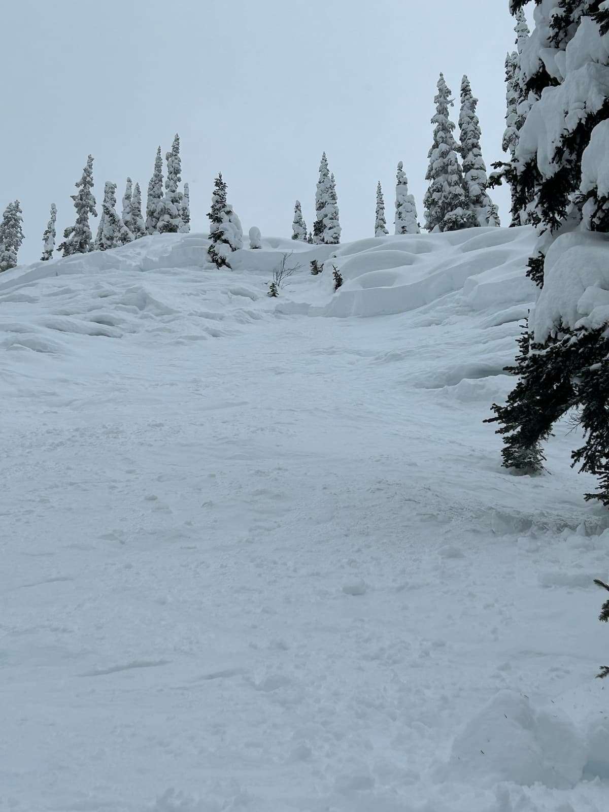 Crown from runout. 
