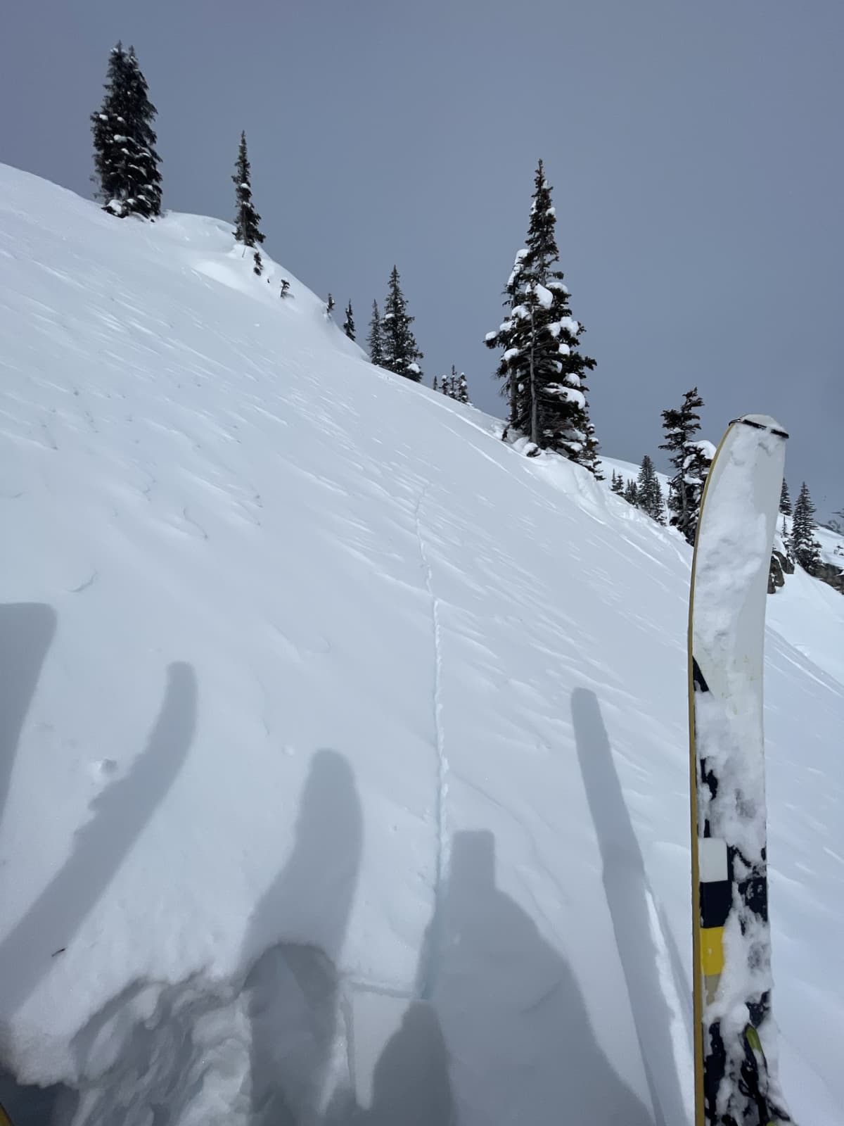 The crack extended 10-15m on either side of the intended profile site.