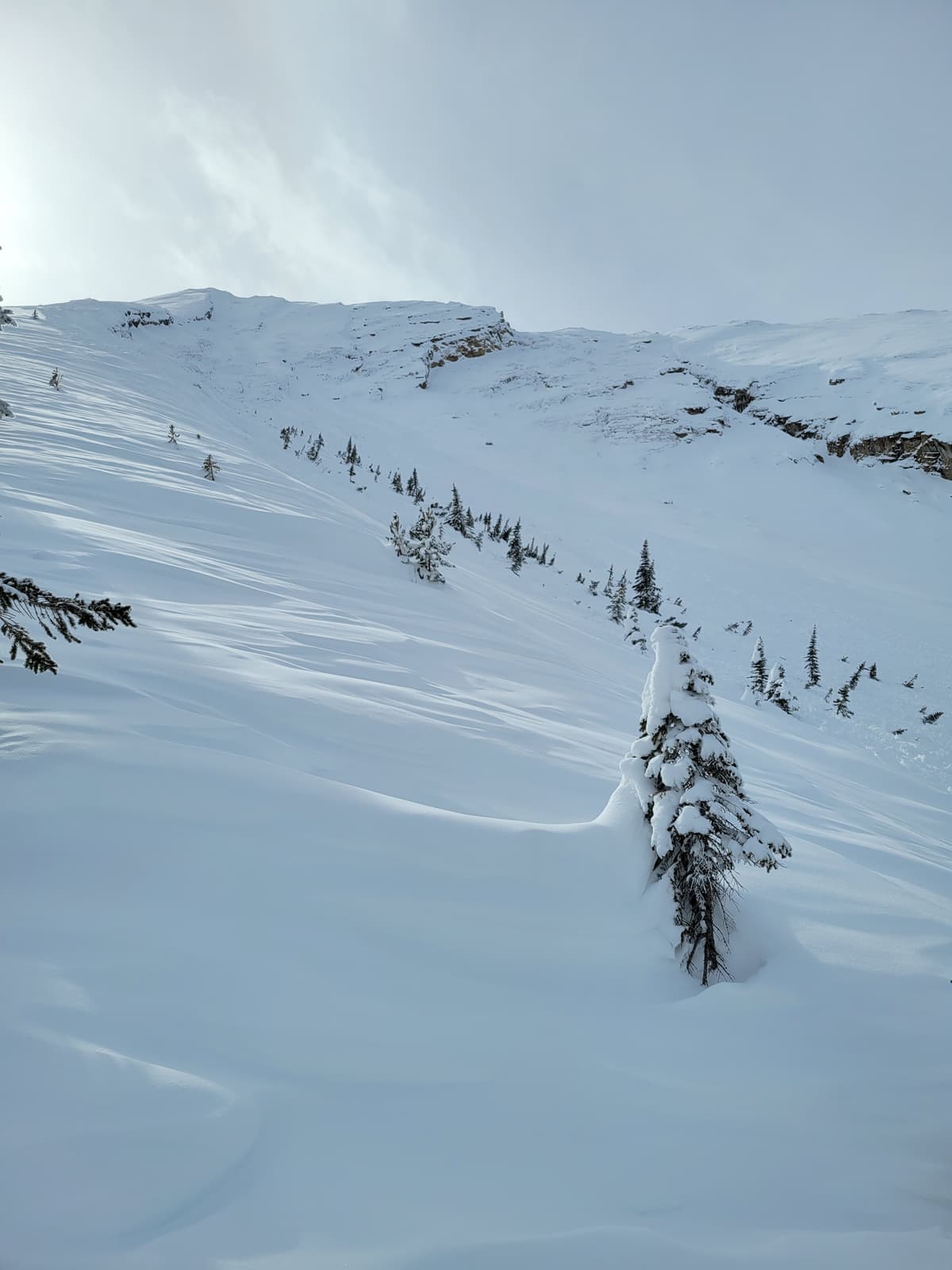 North path ran from ridge top to mid path.