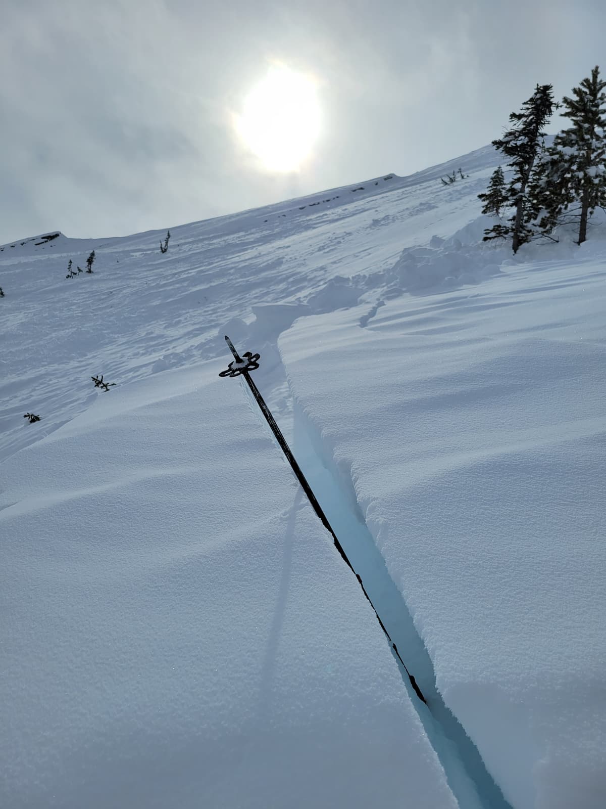 Preserved surface hoar above an ice layer found in a fracture line profile. 