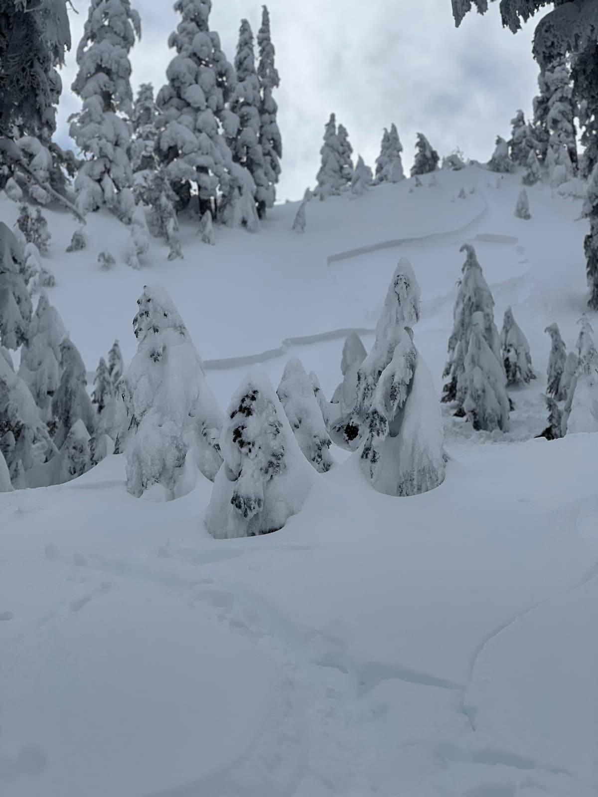 Size 1.5 slab avalanche, triggered by smaller slab above from skiier traffic. 