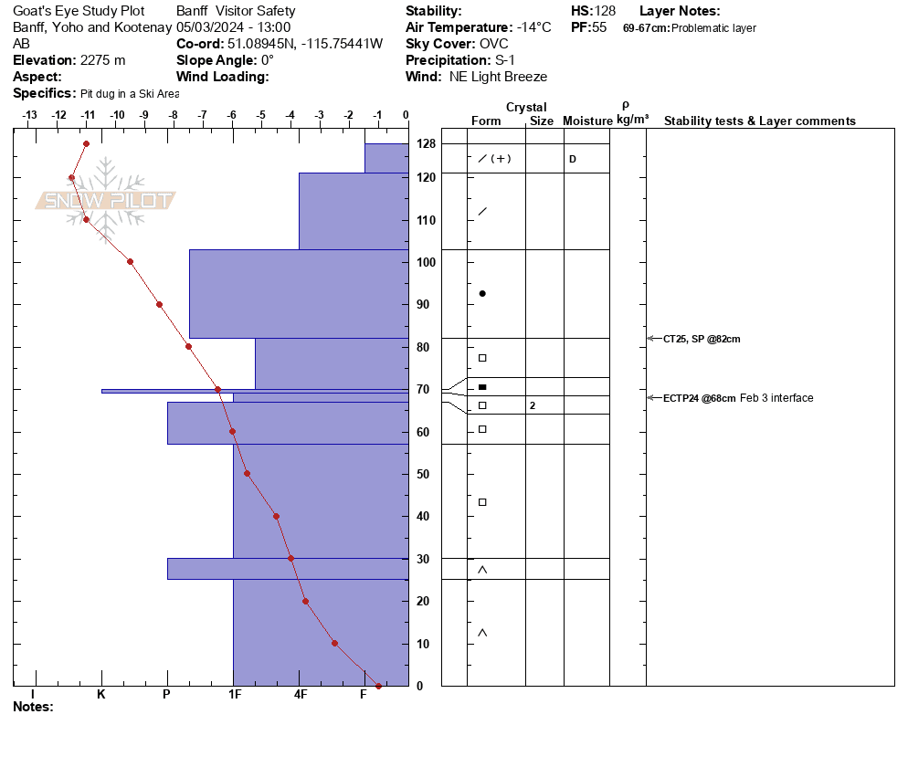 Snow profile at the Goat's Eye study plot on March 5, 2024.