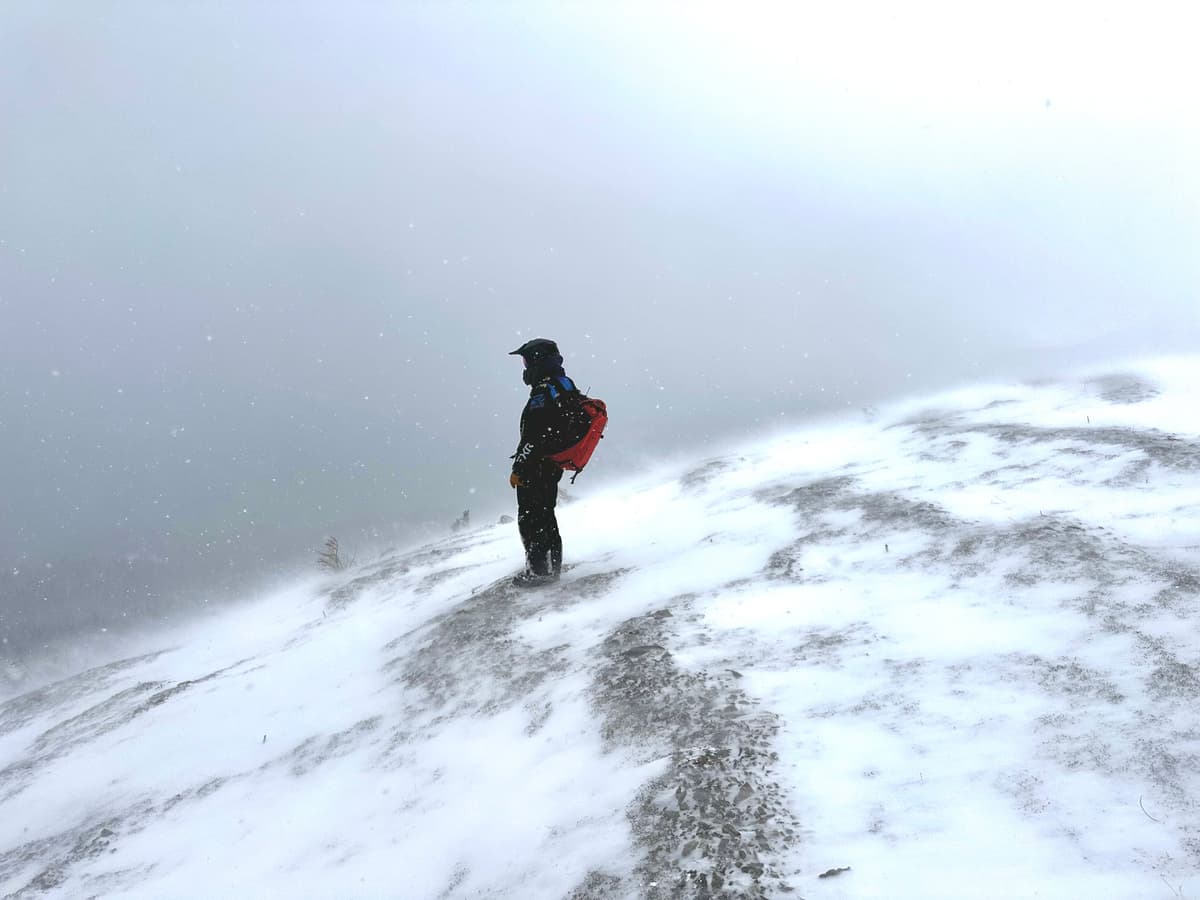 SW winds had done a number in the alpine forming new windslabs on lee features. . 
