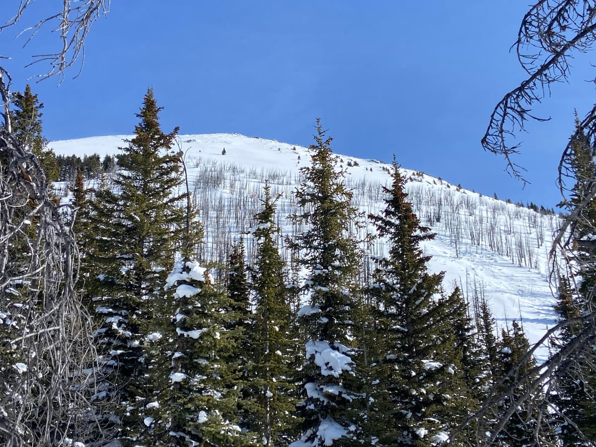 Older avalanche from earlier in the week. No other activity observed. 