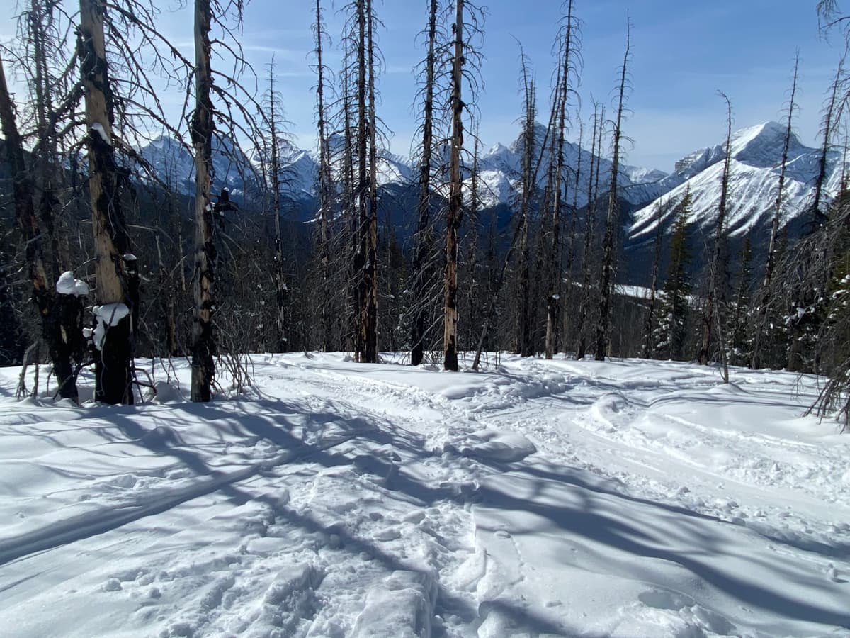 Heavy powder