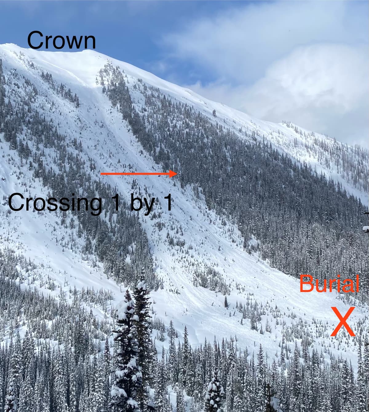 Skinned up through one band of trees and moved over to the other (actual skin track was slightly lower than the arrow)