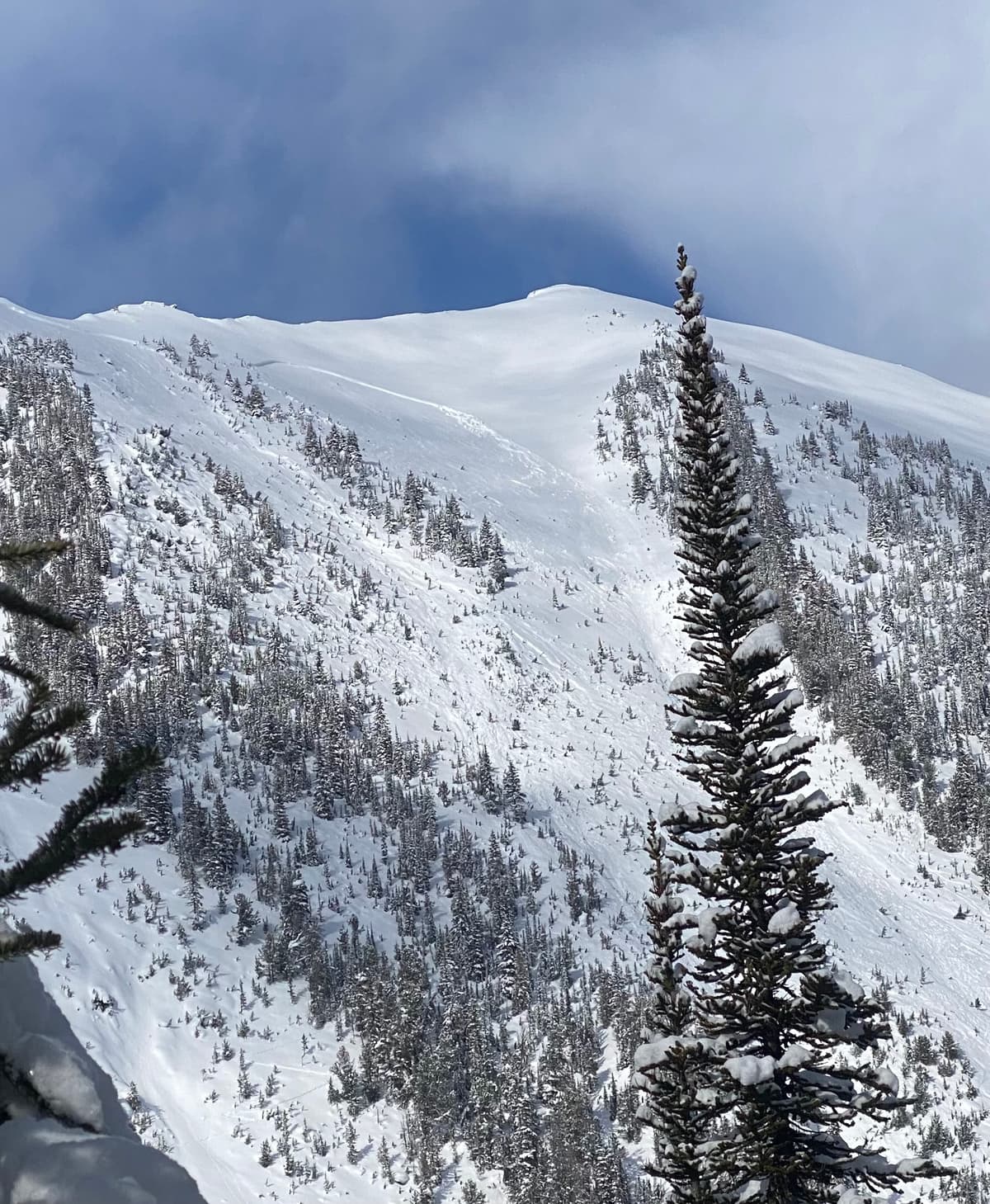 This perspective doesn’t quite show how much snow slid but it does show how much hangfire there was 