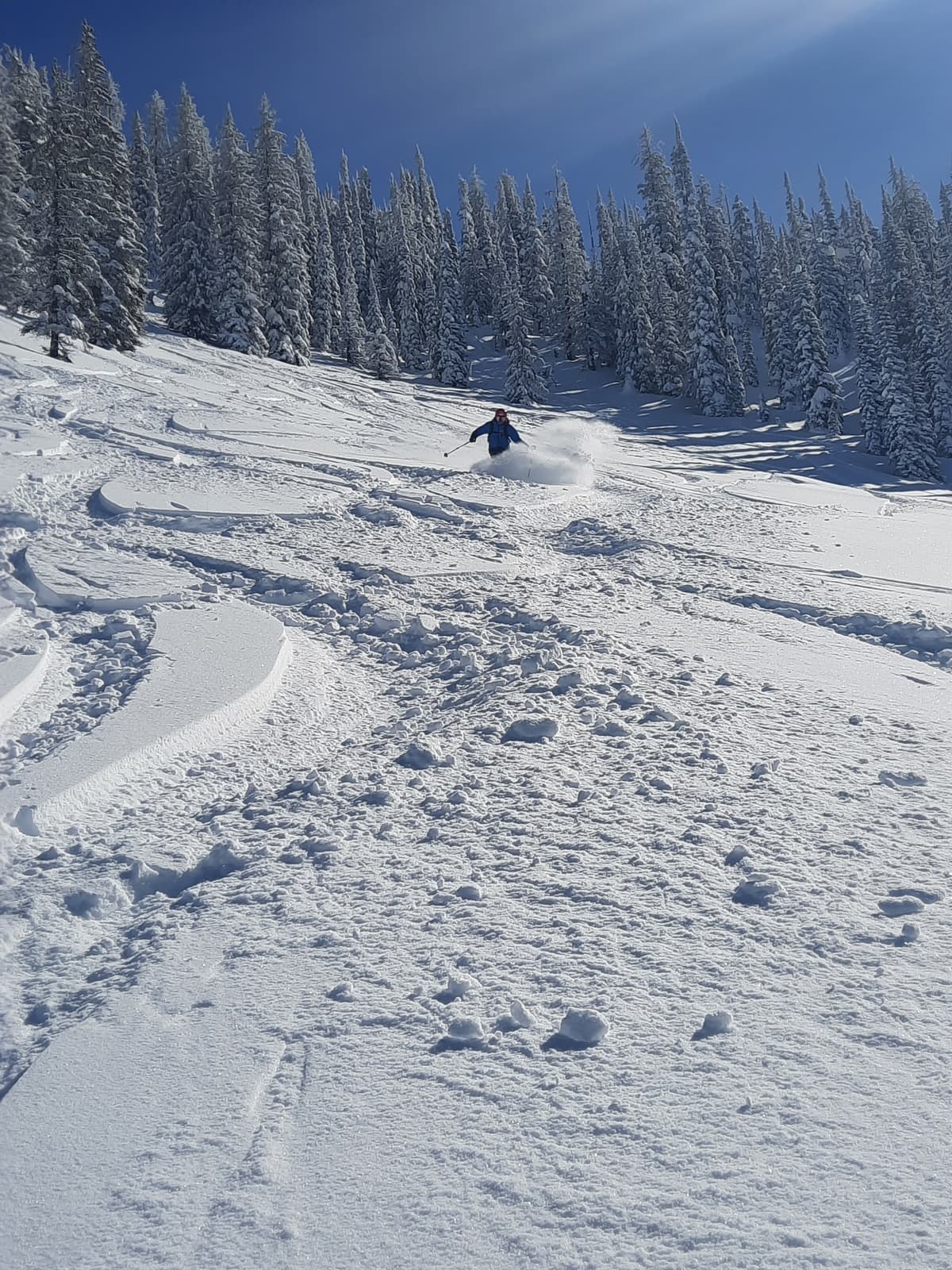 Nice snow on north facing slopes.