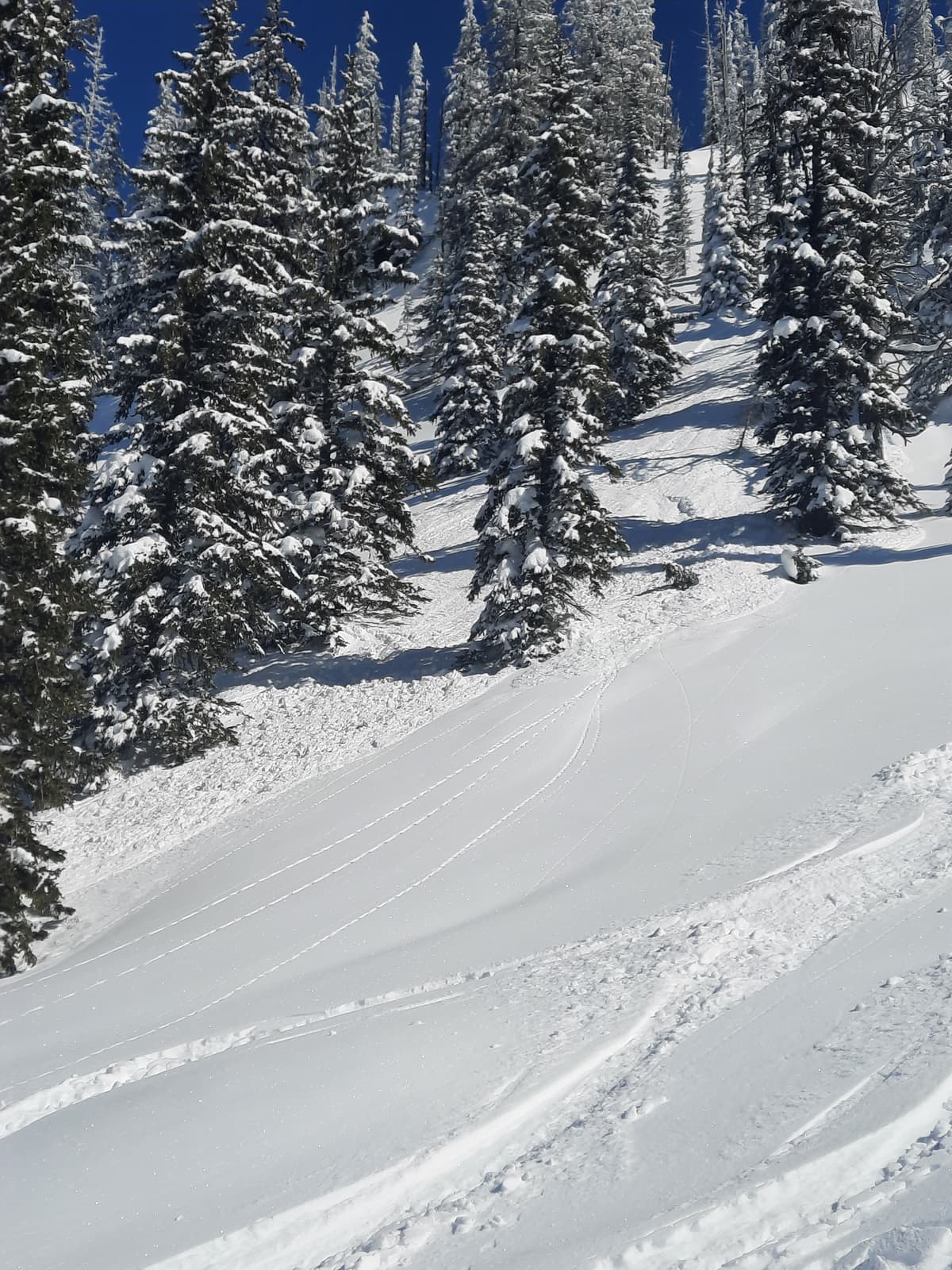 Small size 1  (or smaller) avalanche in sun exposed open slope.  This must have occured around 11:30am. 
