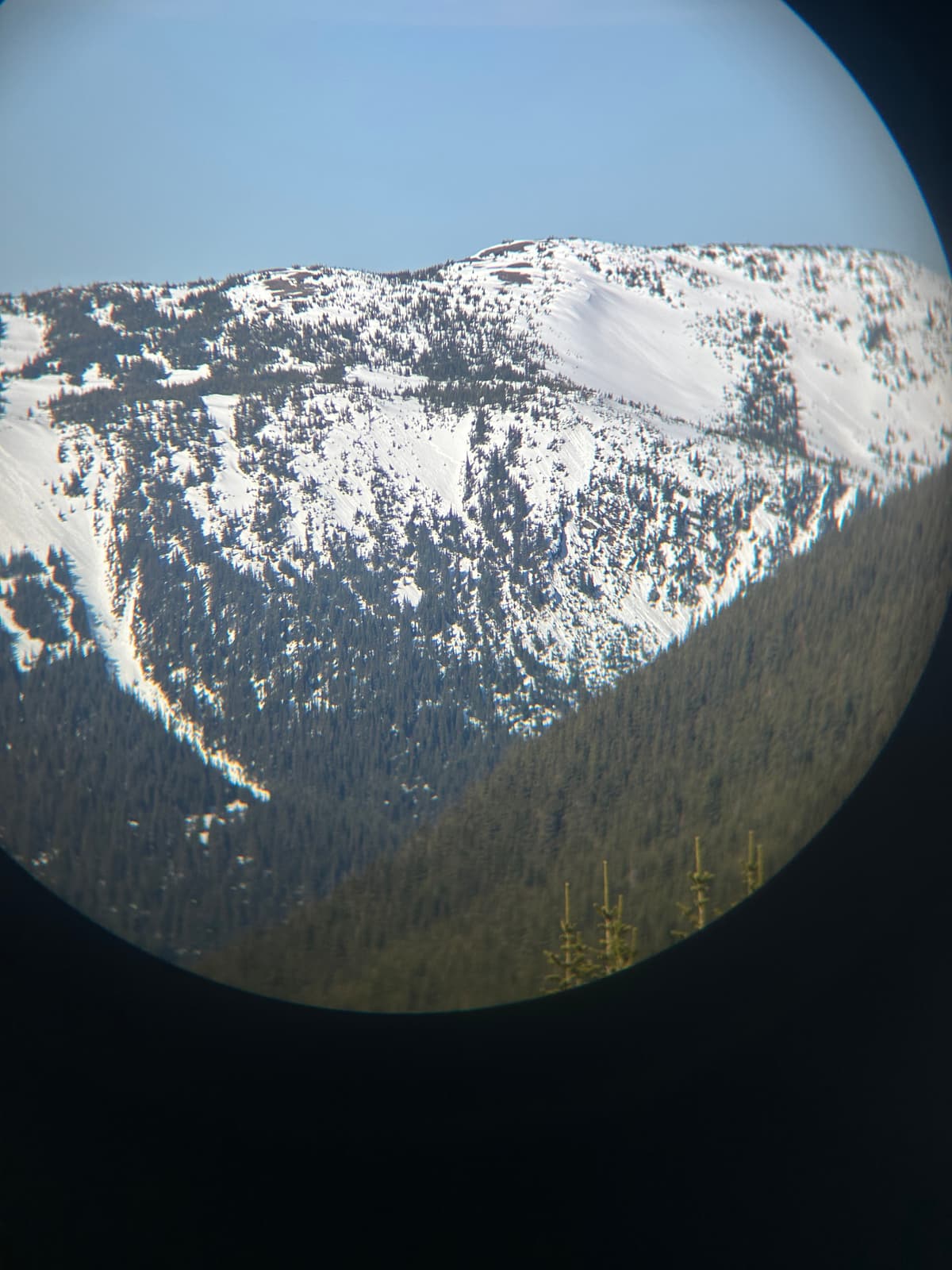 Few slides at treeline in similar features noted