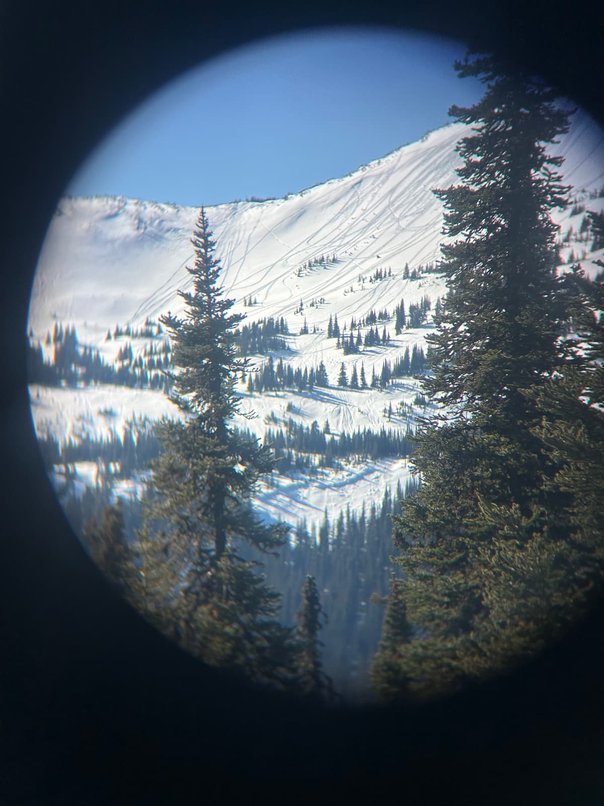 Older slide at tree line
