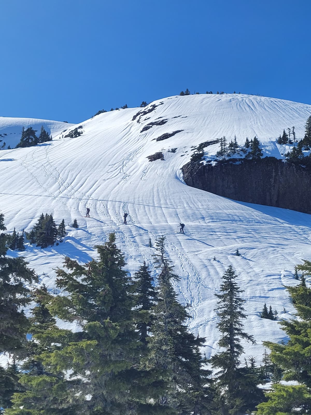 Cokely summit frozen at noon