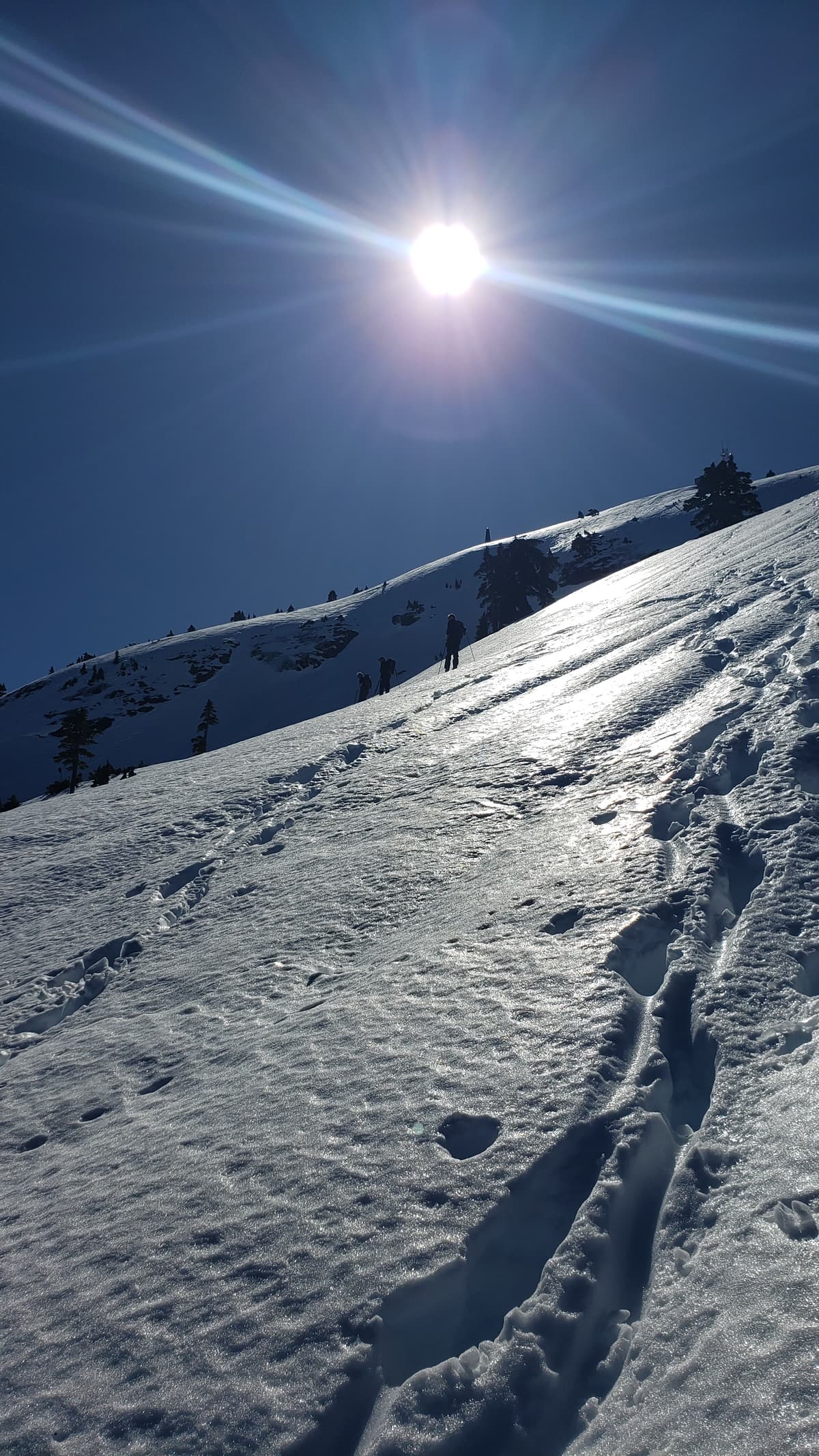 Frozen foot steps