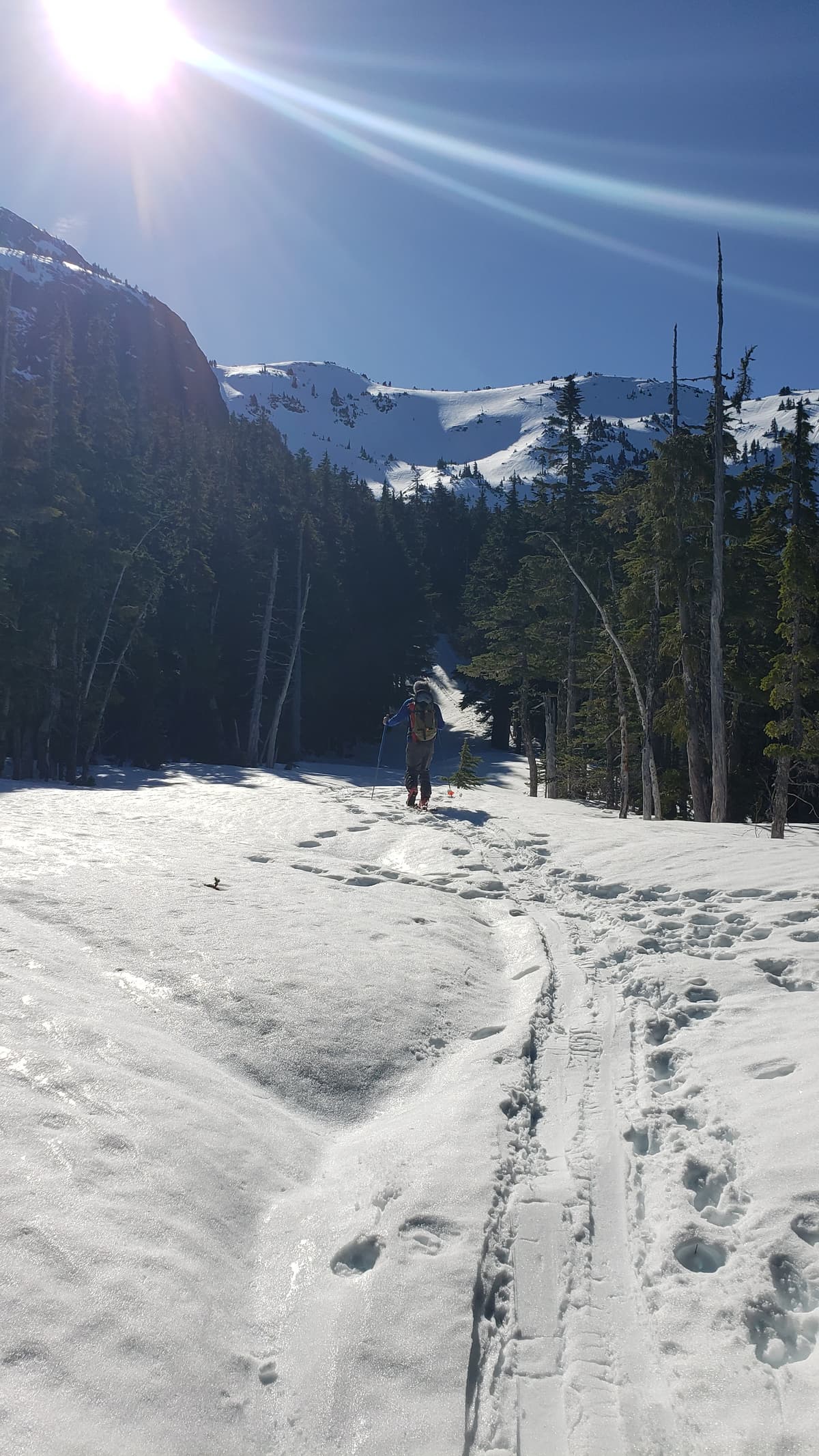 This became sushy and crusty on the way down.