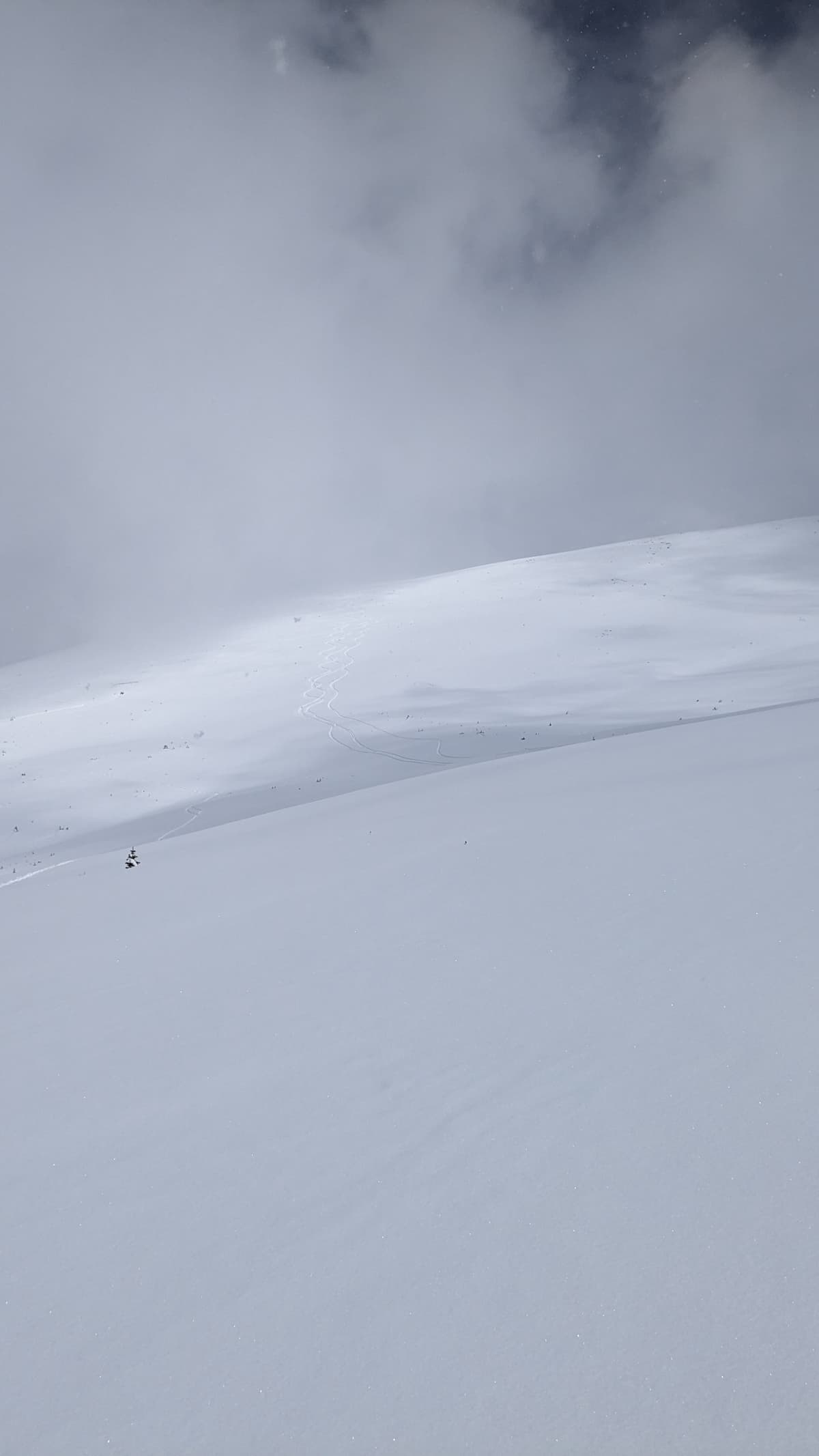Shallow snowpack on SW face where we felt whumpfs 