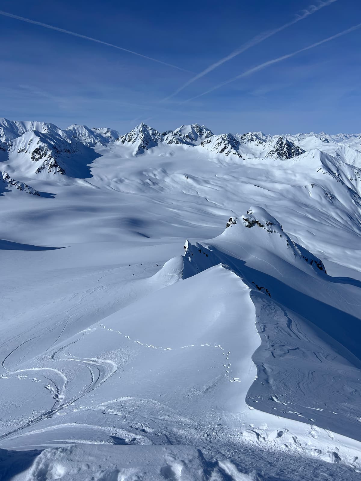 good turns in the alpine! 