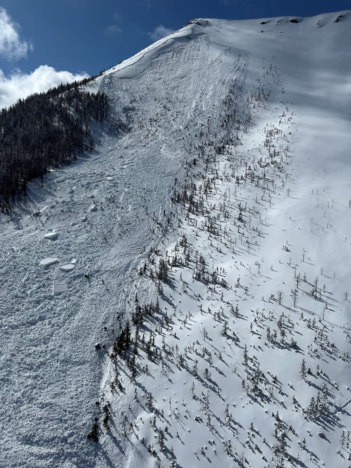 NW aspect Tent Bowl. The avalanche was full depth at the trigger point (deep persistent slab)