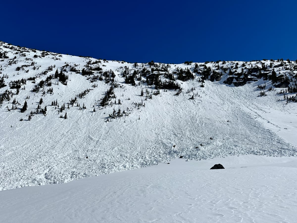 Growl peak ridge, northwest of Rohr - recent avalanches on south facing aspects. Crown is very large.