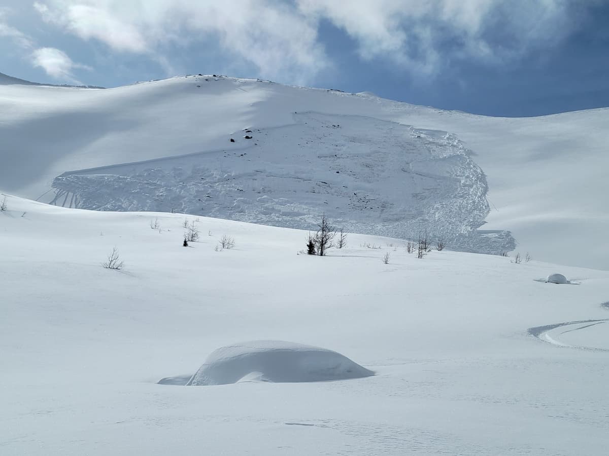 This feature had released naturally earlier season. Rocky/shale grd cover with a high degree of spatial variability across the slope. This zone has history and is not a usual ski line.