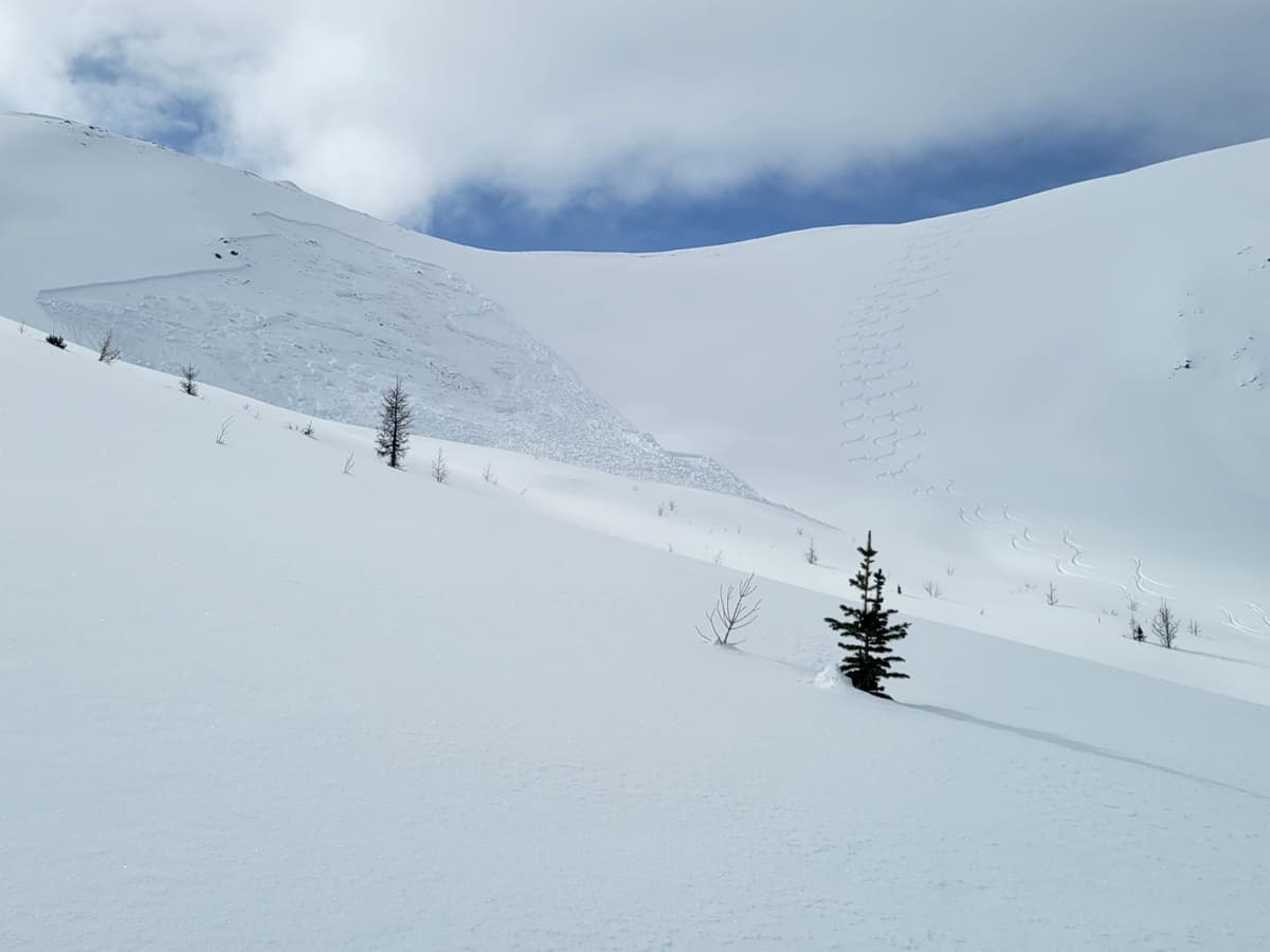 2nd skier on slope skiing far skiers right line  nearing the BTM when remote trigger occurred from 50m. 