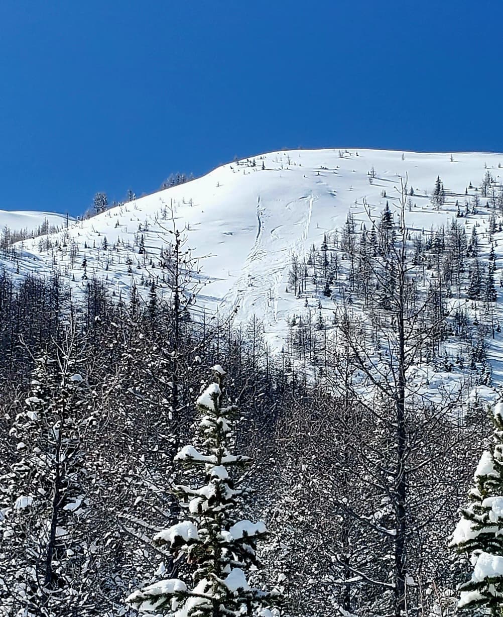 Wolverine ridge