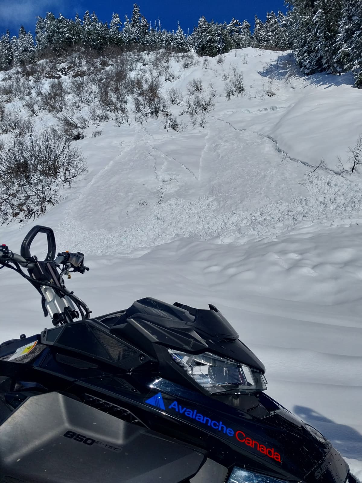Loose wet avalanches were becomming common late in the day