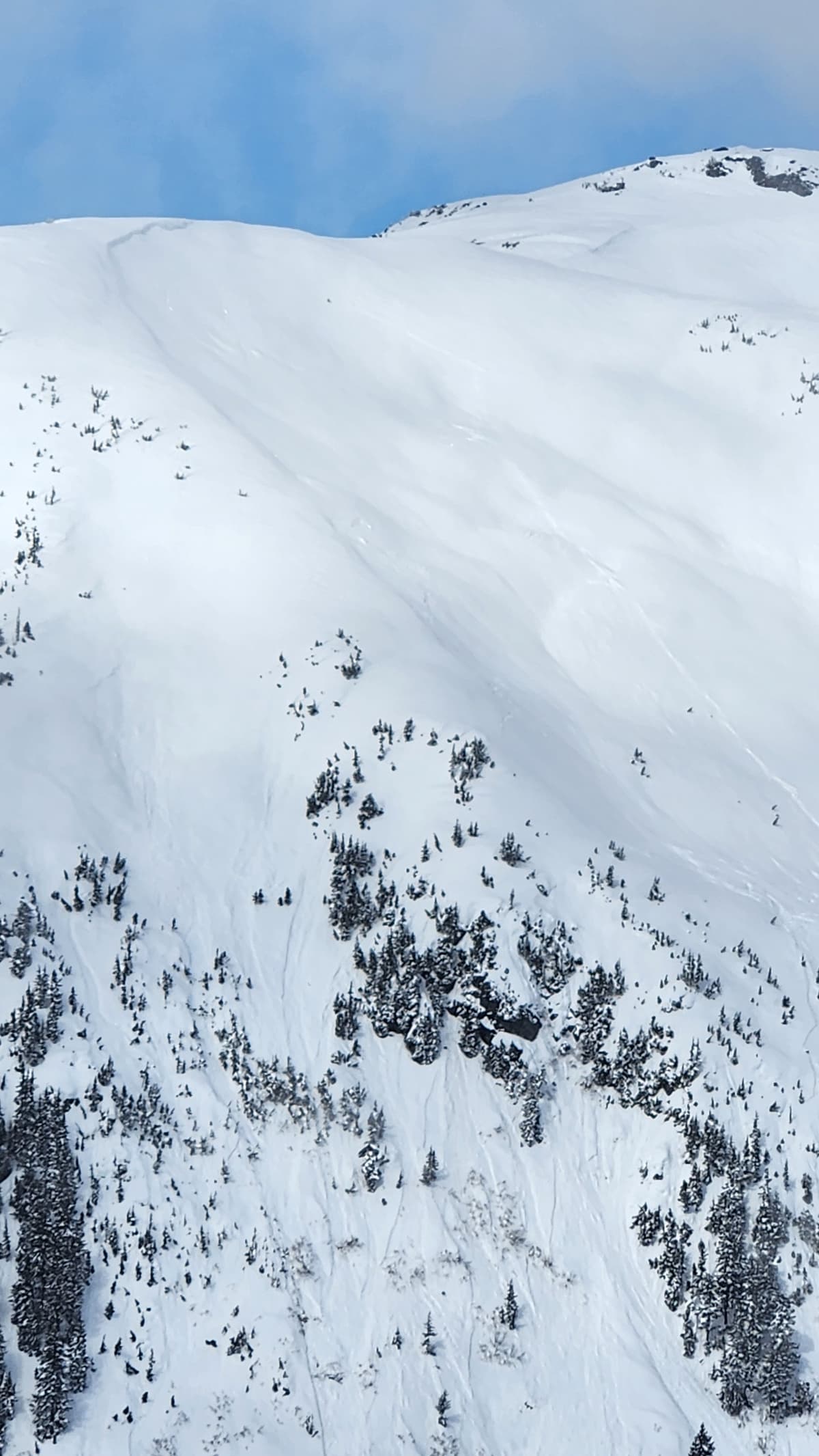 Thin slab line upper Geronimo with numerous slabs in tree area.
