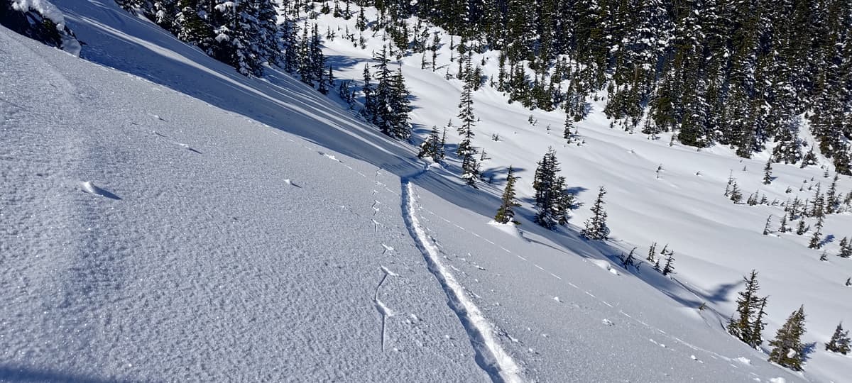 Deeper, light snow between the lake and treeline
