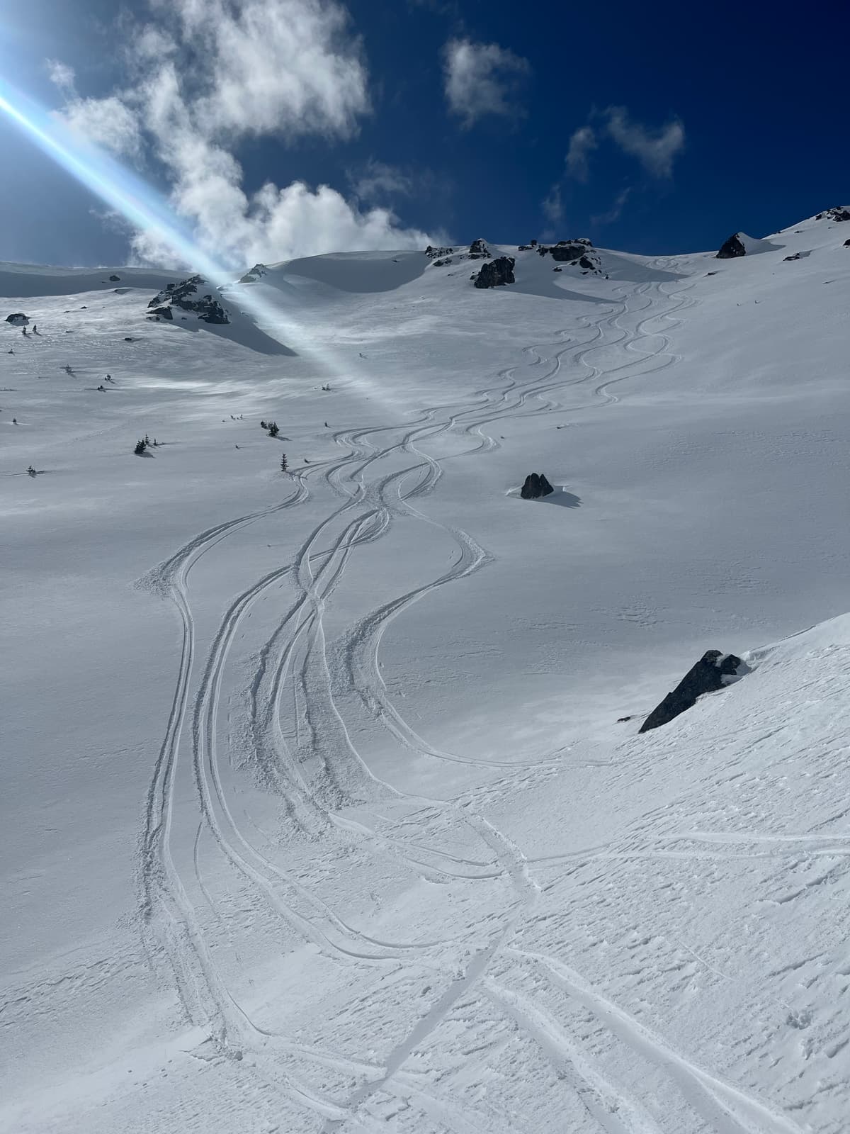 Sunny E aspect 