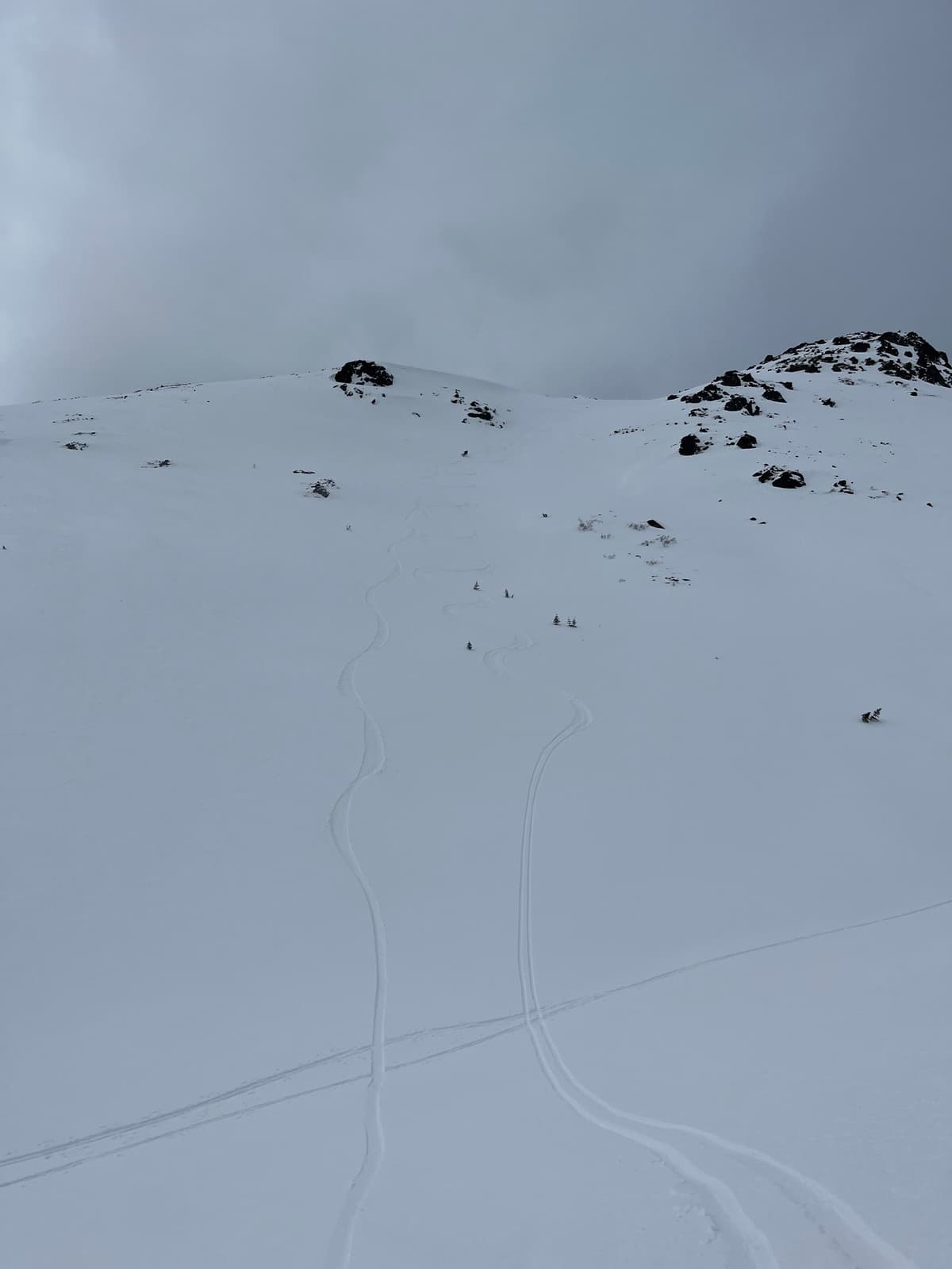E aspect line