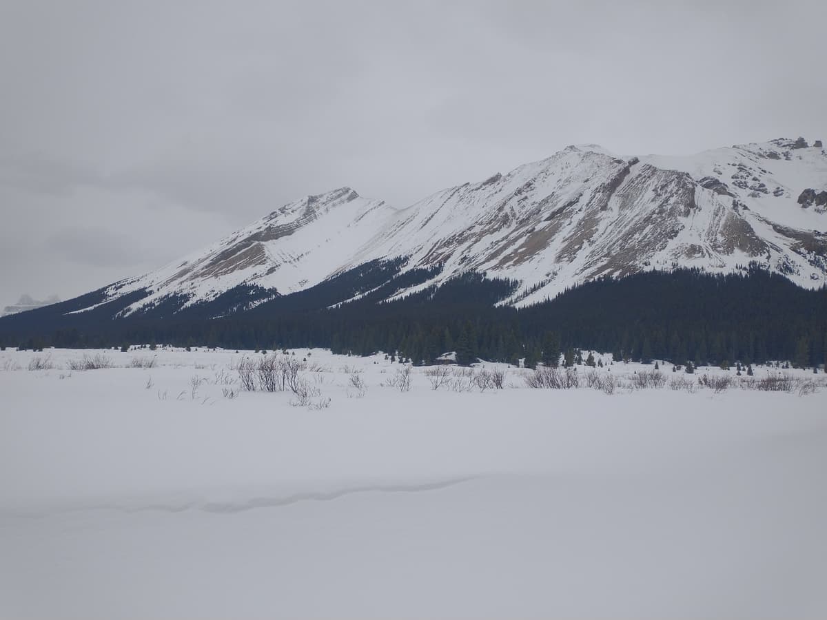 Reddeer vally