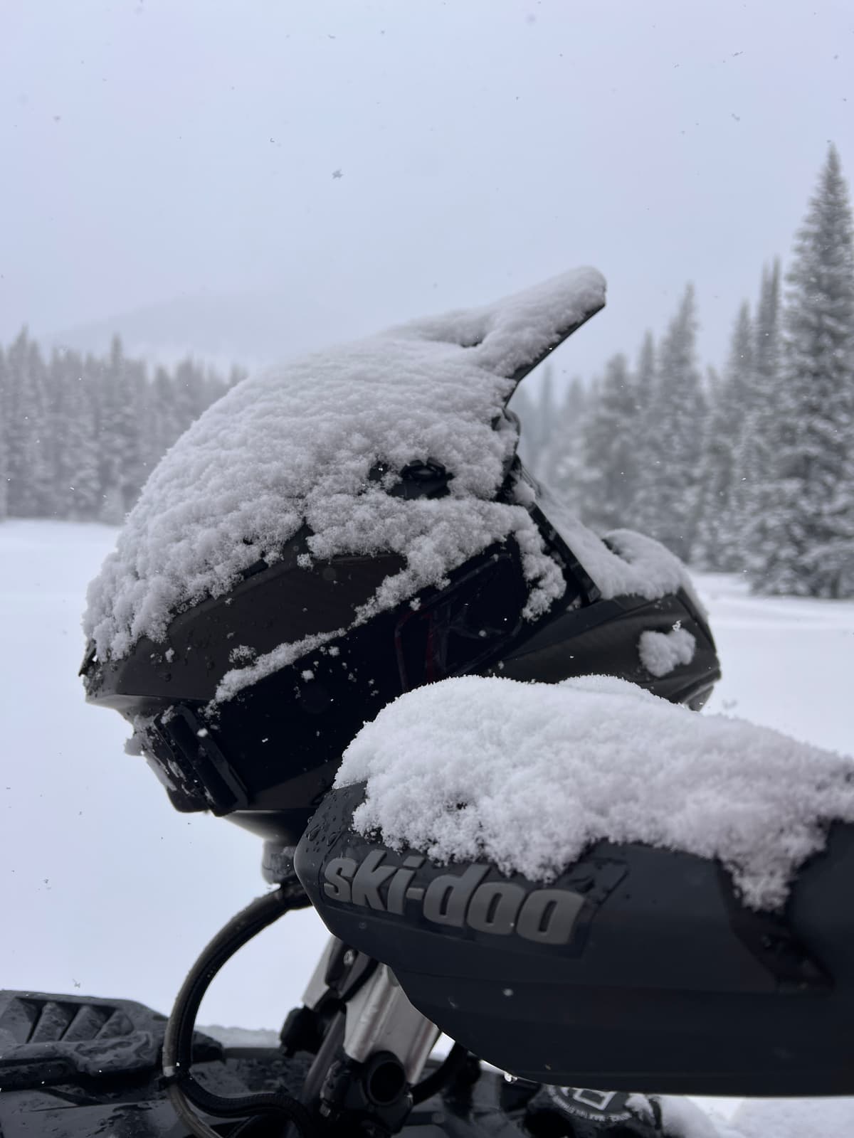 It was snowing hard for a couple of hours today, accumulating 15 cm new snow over a crust