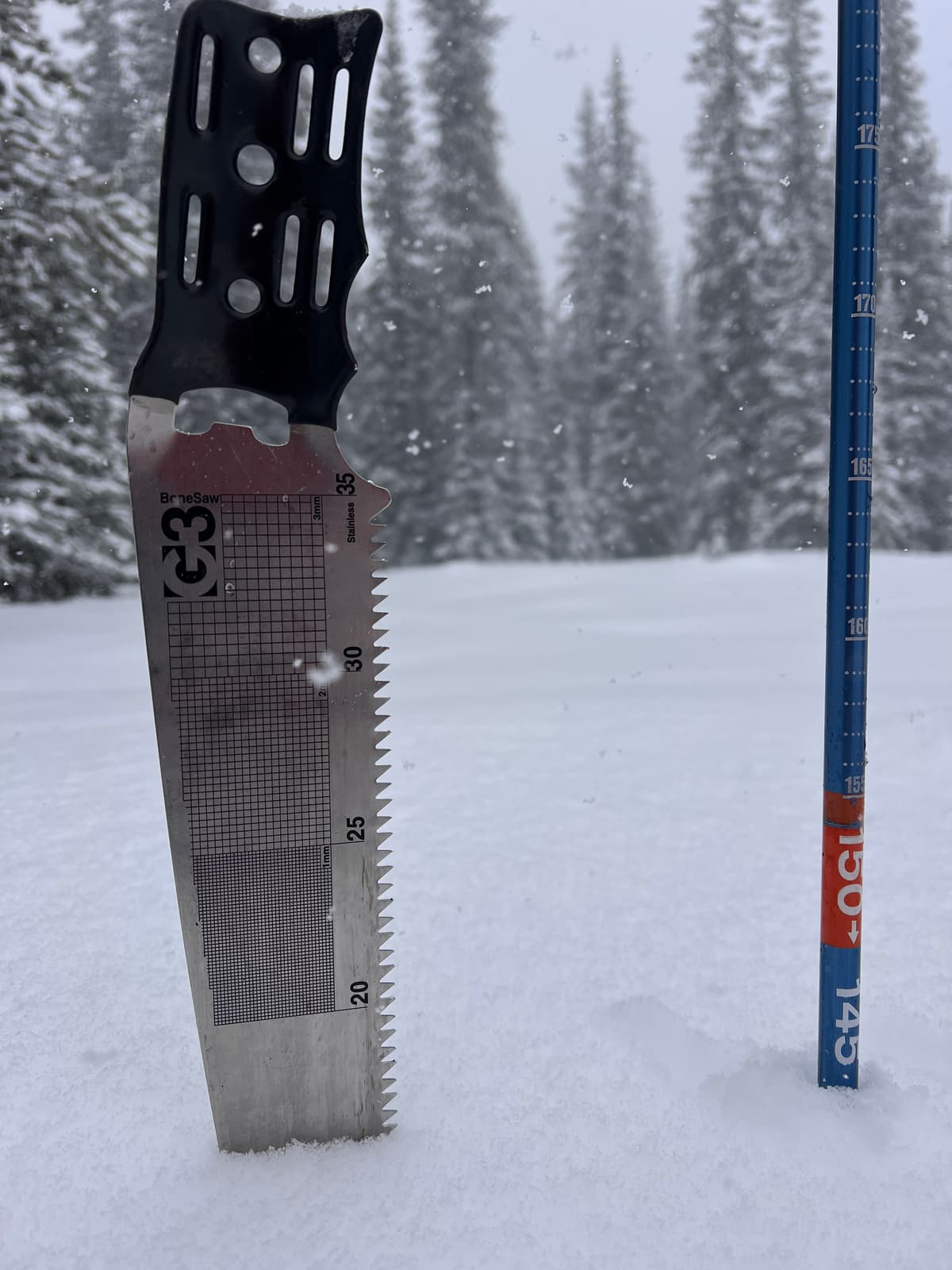 Total snow depth and new snow depth at 2000 m 