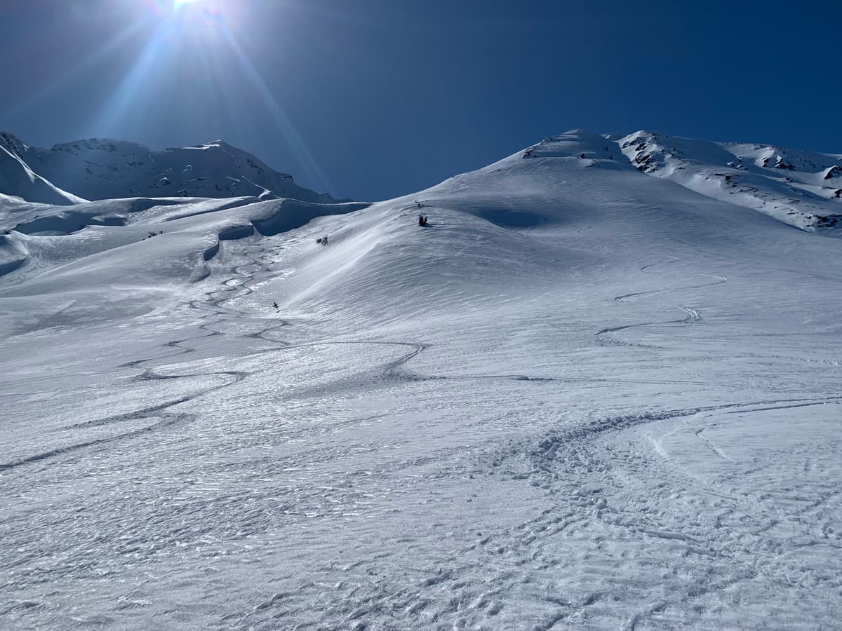 Our tracks down the east face. The crust combined with heavy moist snow made for decent ski quality.